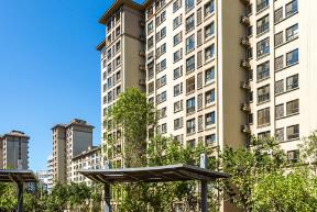 ���ݰ�ȫ�|���z�y�b��